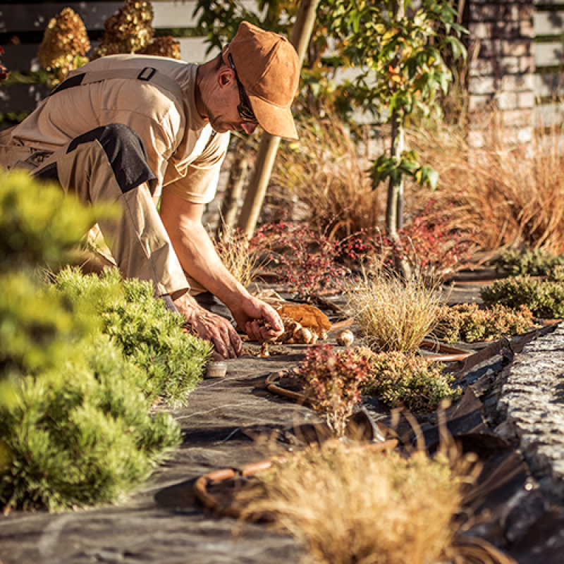 Contato de Empresa de Limpeza e Conservação João Câmara - Empresa de Limpeza Conservação e Jardinagem