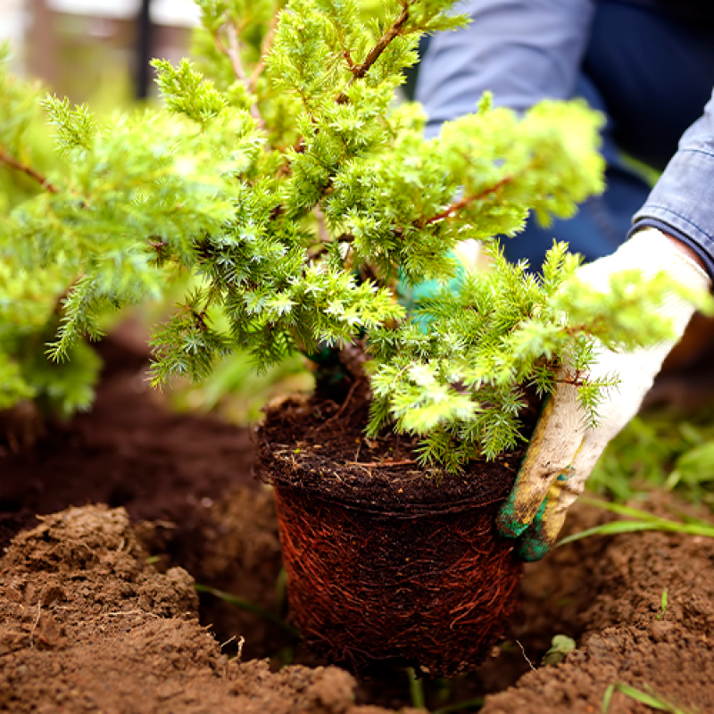 Empresa de Jardinagem e Paisagismo Valores Indianópolis - Empresa Jardinagem e Paisagismo