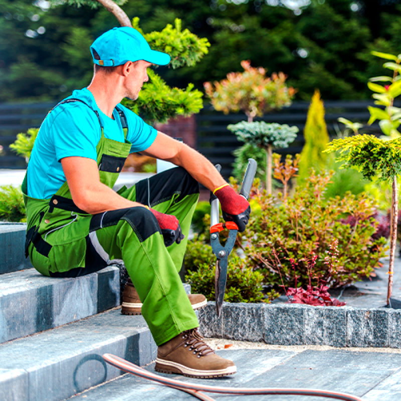 Empresa de Jardinagem Valores Taguatinga - Empresa Jardinagem e Paisagismo