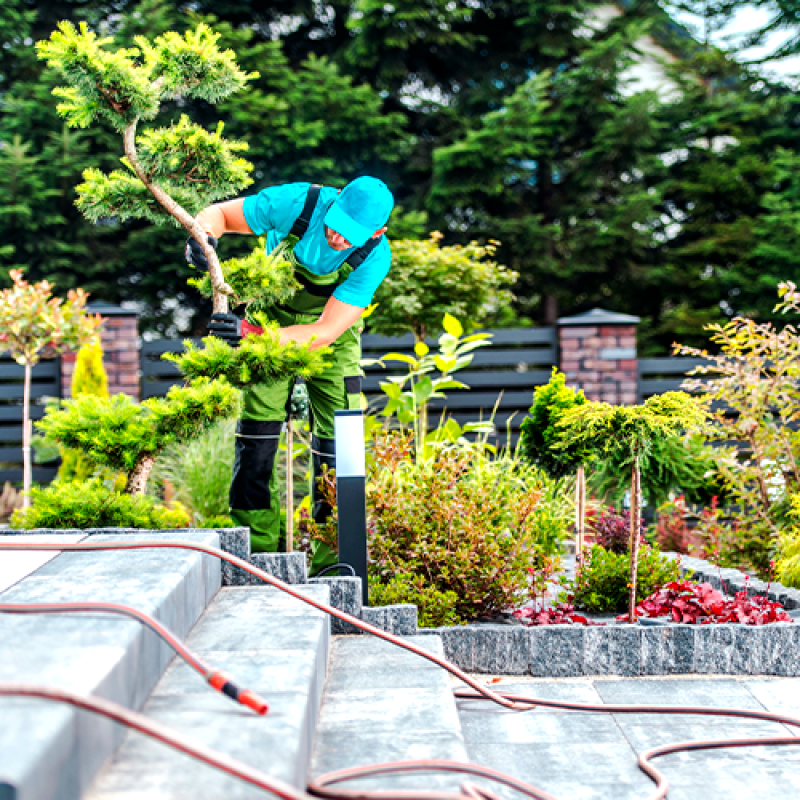 Empresa Jardinagem Orçamento Ibirapuera - Empresa de Paisagismo e Jardinagem Terceirizada