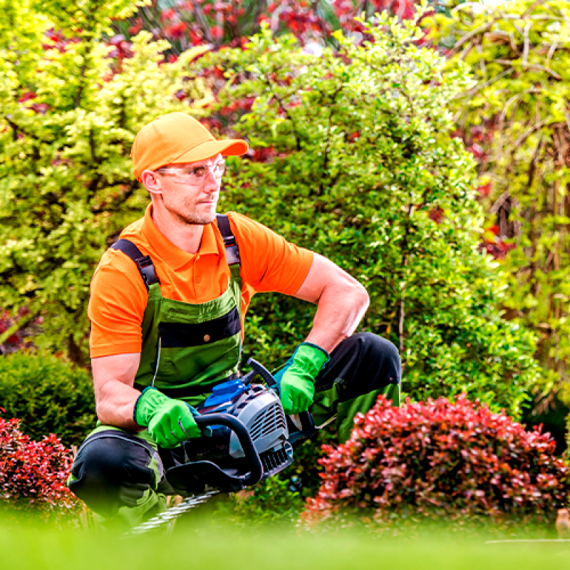 Empresa Jardinagem Terceirizada São Gonçalo do Amarantes - Empresa Paisagismo e Jardinagem Terceirizada