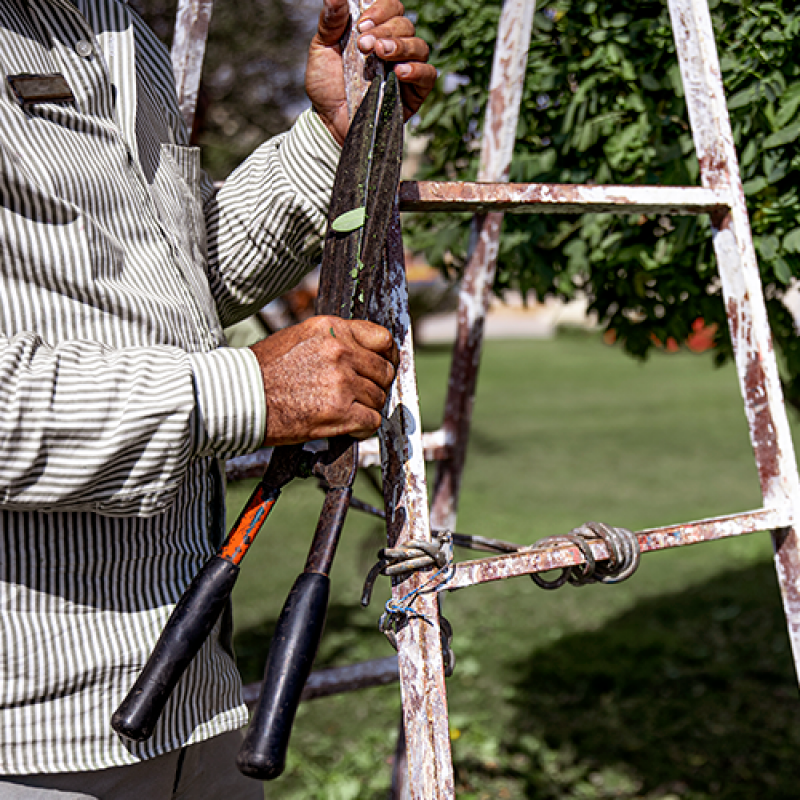 Limpeza Conservação e Jardinagem Rio Pequeno - Limpeza e Conservação de Condomínios