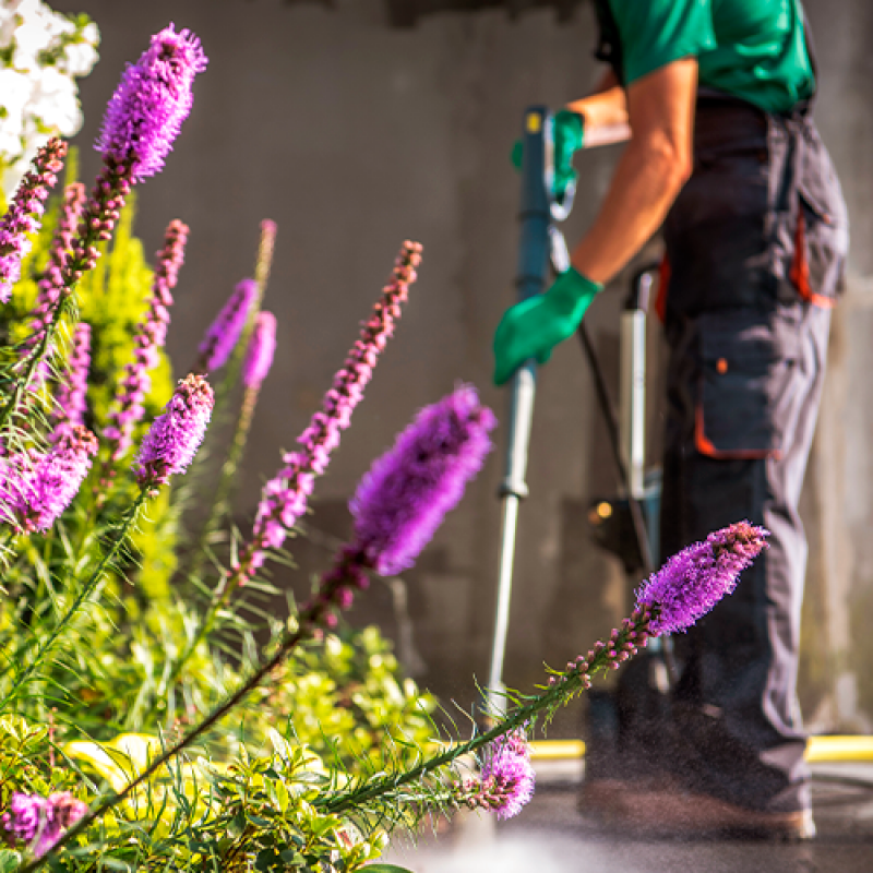 Limpeza e Conservação de Condomínios Preços Terenos - Limpeza Conservação e Jardinagem