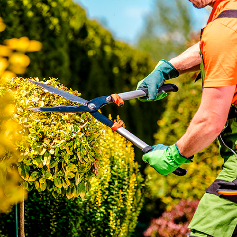 Manutenção de Jardins em Condomínios Cotação Guaíba - Manutenção Predial Condomínios