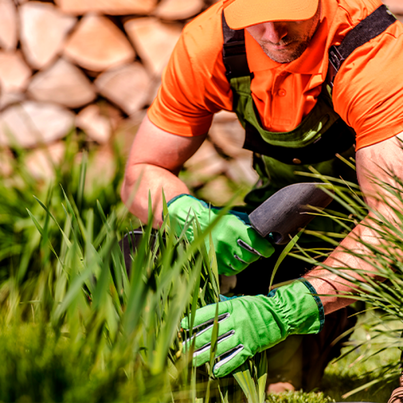 Manutenção Preventiva em Condomínios Cassilândia - Manutenção de Jardins em Condomínios