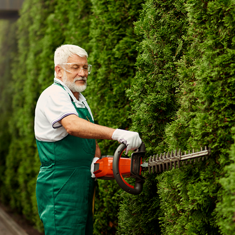 Qual o Preço de Serviço de Empresa de Paisagismo e Jardinagem Terceirizada Palmeira dos Índios - Serviço de Empresa Jardinagem e Paisagismo