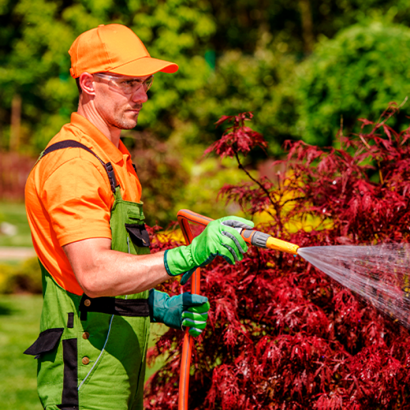 Qual o Preço de Serviço de Empresa Paisagismo e Jardinagem São Gonçalo do Amarante - Serviço de Empresa Jardinagem Terceirizada