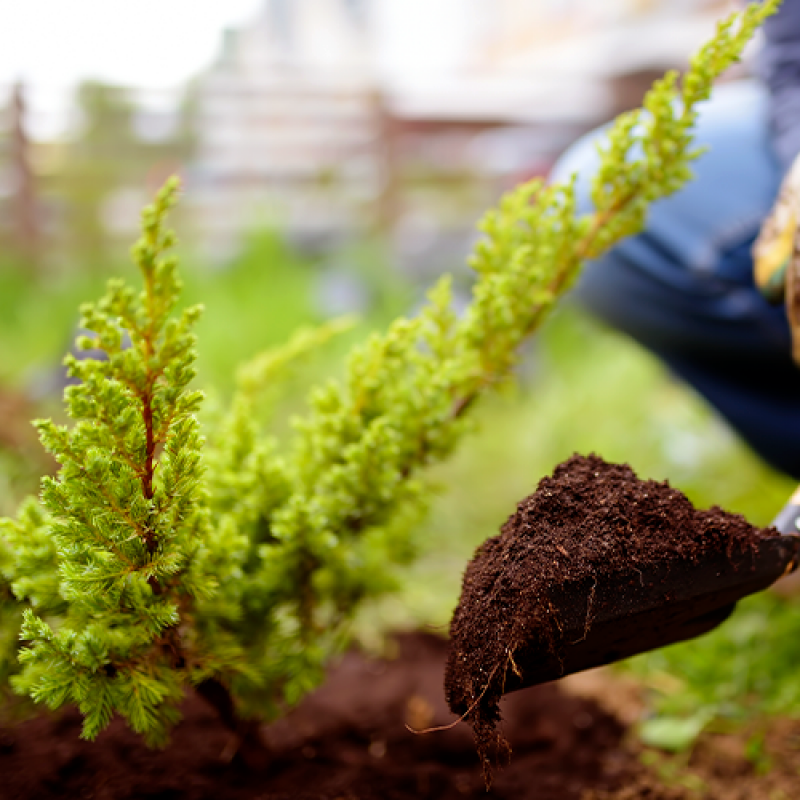 Serviço de Empresa de Jardinagem e Paisagismo Preço Passo Fundo - Serviço de Empresa de Jardinagem