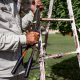 limpeza conservação e jardinagem Terenos