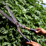 onde encontrar empresa jardinagem e paisagismo Vila Yolanda