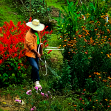 quanto custa serviço de empresa de jardinagem e paisagismo Naviraí