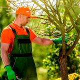 Serviço de Manutenção de Jardins em Condomínios